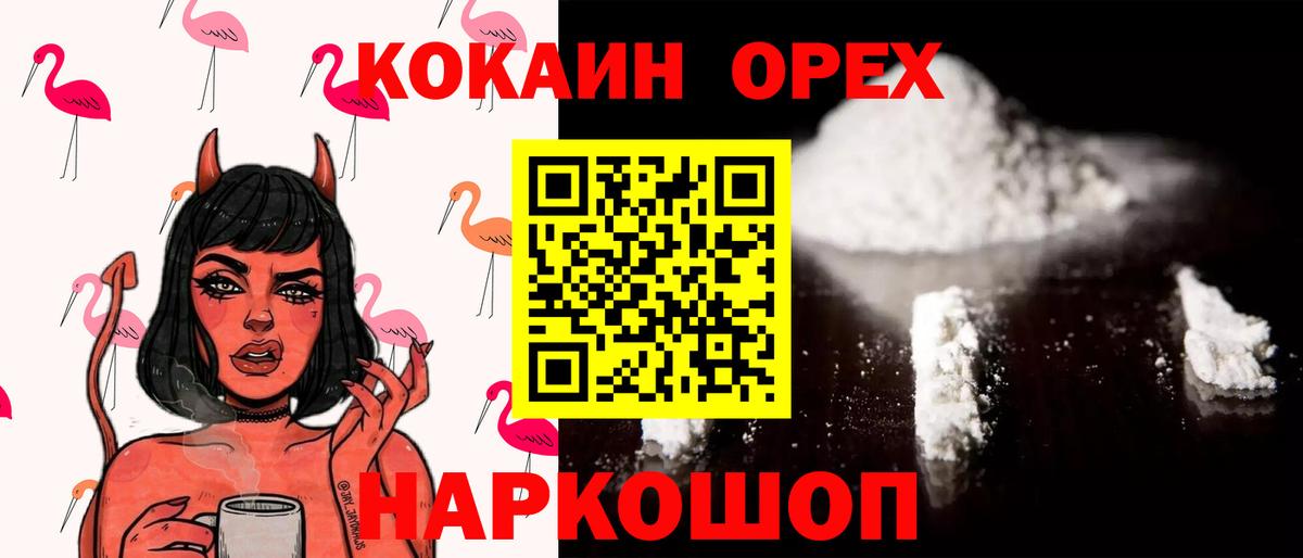Губкин  COCAIN Fish Scale  Вход с VPN  Cocaine VHQ 
