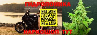 МДПВ Котовск