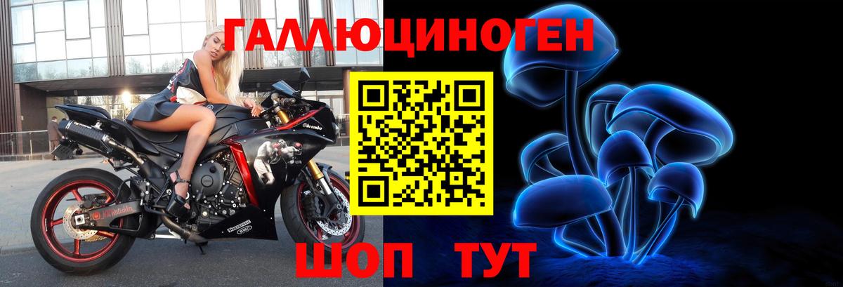 Губкин  Псилоцибиновые грибы GOLDEN TEACHER  Вход с VPN 